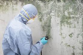 Best Emergency Mold Remediation in Walkersville, MD